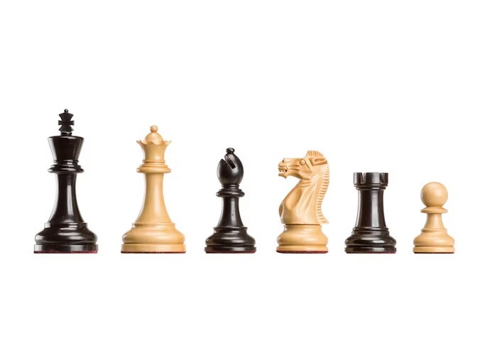 Фигуры деревянные DGT Polgar Deluxe в деревянном ларце